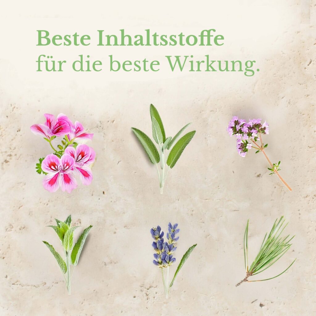 Die Zutaten des naturreinen ätherischen Duftöl Almwiese auf einem rustikalen Travertintisch: Rosengeranie, Salbei, Lavendel, Thymian, u.a.